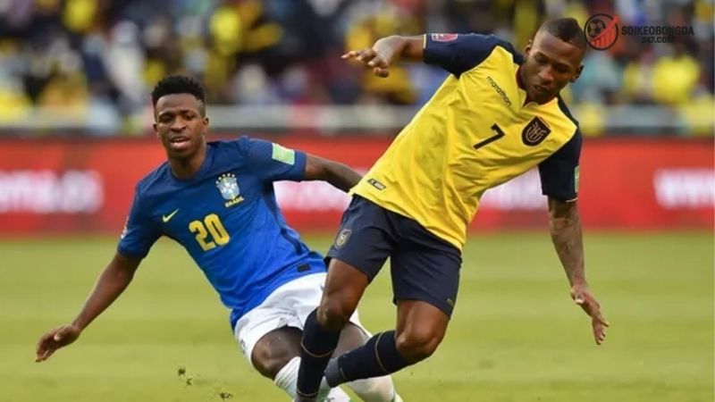 Thông tin lực lượng Ecuador vs Brazil mới nhất