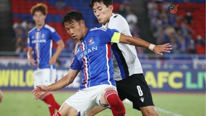 Thông tin lực lượng Yokohama FC vs Cerezo Osaka mới nhất