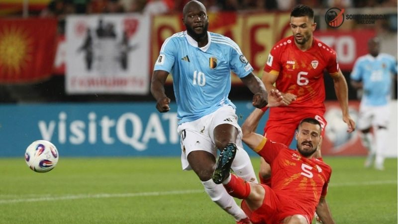 Thông tin lực lượng Bỉ vs Xứ Wales mới nhất – Những điều cần biết trước trận đấu