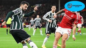 Cập nhật thông tin mới nhất về đội bóng Newcastle Jets và Adelaide United