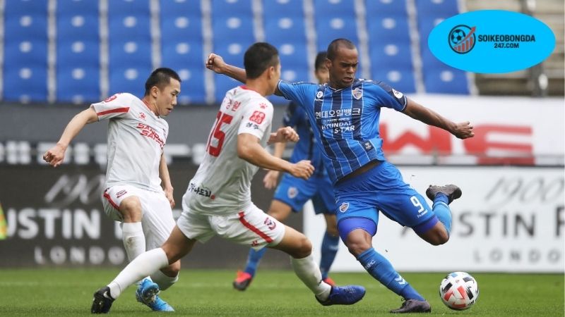 Giới thiệu về giải bóng đá K League 1 tại đất nước Hàn Quốc 1 Lịch sử phát triển của K League 1