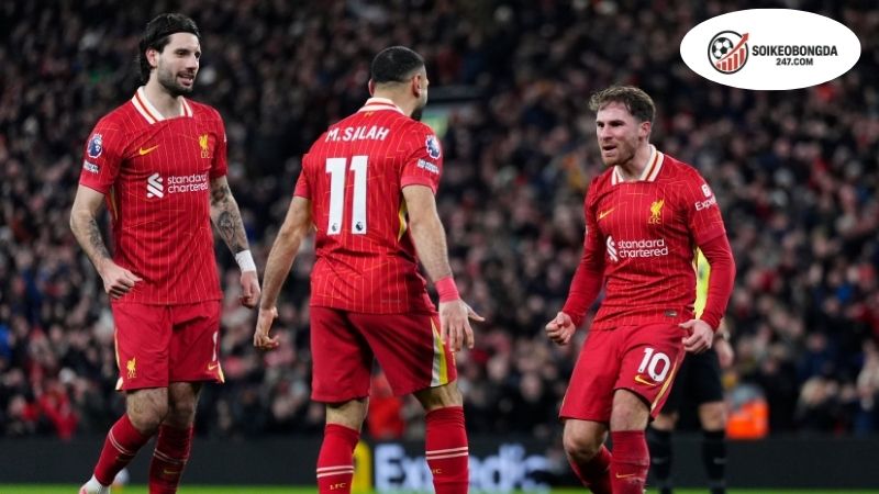 Soi kèo đặc biệt trận đấu Newcastle vs Liverpool