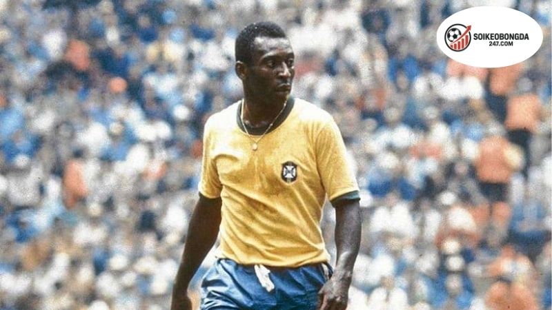 Lịch Sử Huyền Thoại Bóng Đá Brazil