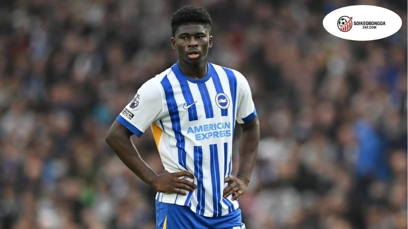 Man Utd săn Carlos Baleba, Brighton hét giá 100 triệu bảng – Thương vụ có thành công? 2 Carlos Baleba – Tài năng trẻ nổi bật tại Premier League