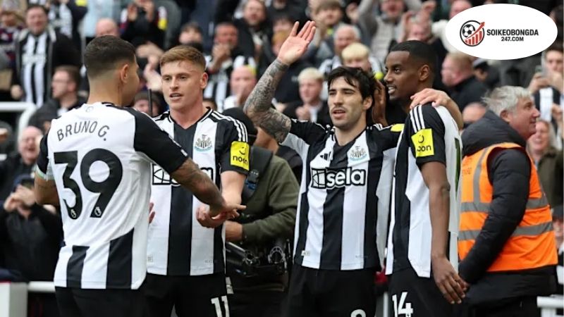 Soi Kèo Newcastle hôm nay chính xác nhất - Dự đoán bóng đá 2 Phân tích phong độ hiện tại của Newcastle United