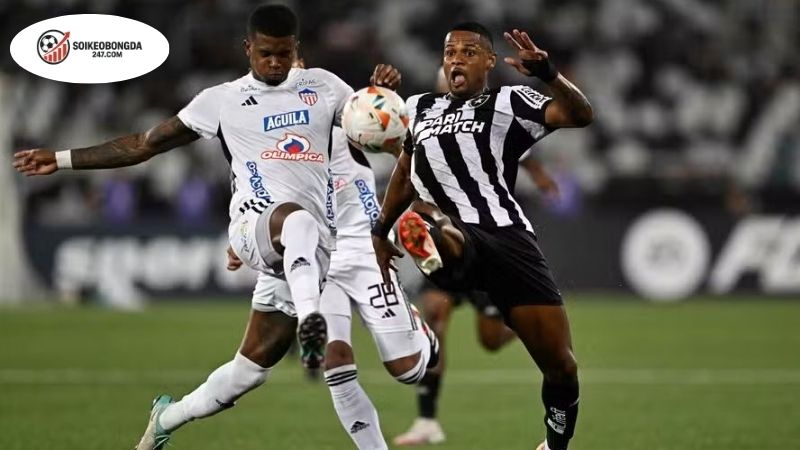 Soi kèo vỉa hè LDU Quito vs Botafogo, 05h00 ngày 22/8 2 Soi kèo vỉa hè LDU Quito vs Botafogo